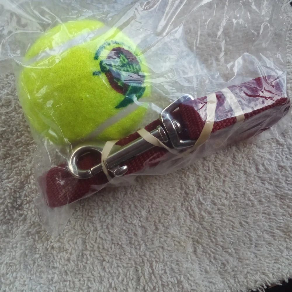 Leash and Ball Emergency Kit